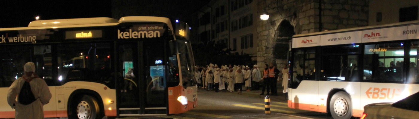 Mit dem BSU an die Solothurner Fasnacht